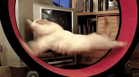 Click the button, the gif animation will stop.